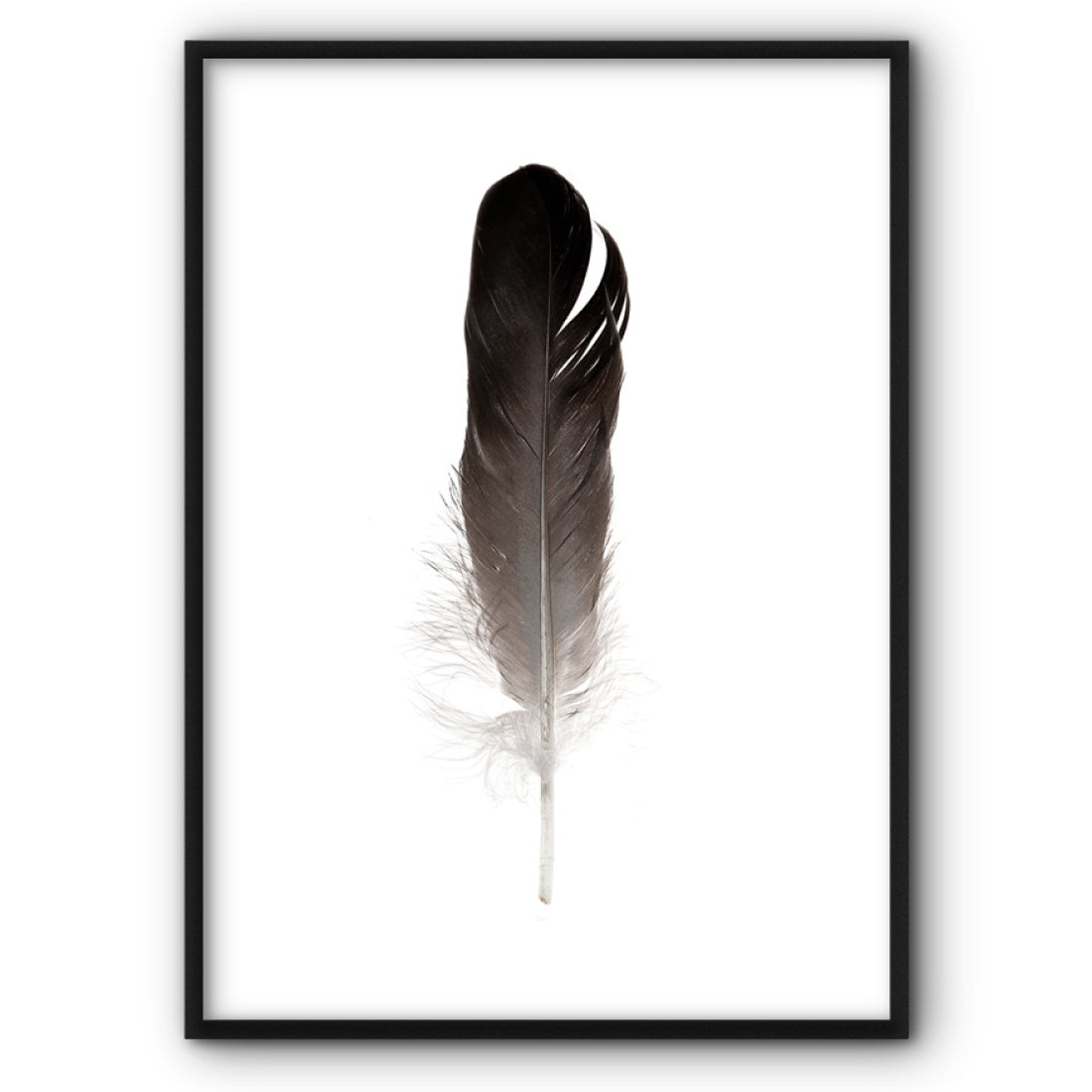 feather-canvas-print