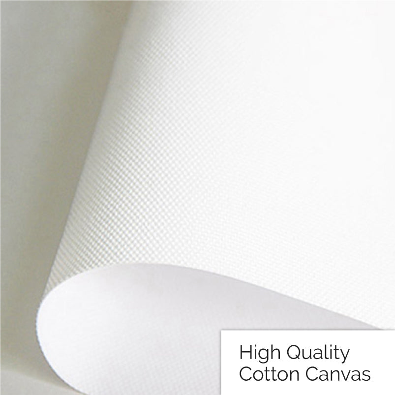 feather-canvas-print